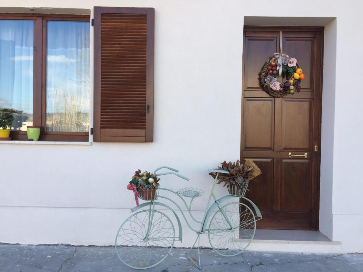 Villareia B&B Villa Angela Via Della Bonifica 17 المظهر الخارجي الصورة